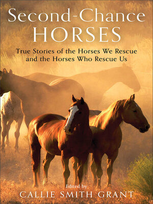 cover image of Second-Chance Horses